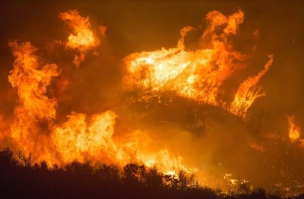 山 原因 オーストラリア 火事 オーストラリアの山火事（森林火災）の原因は？なぜ発生するのか理由を調査！